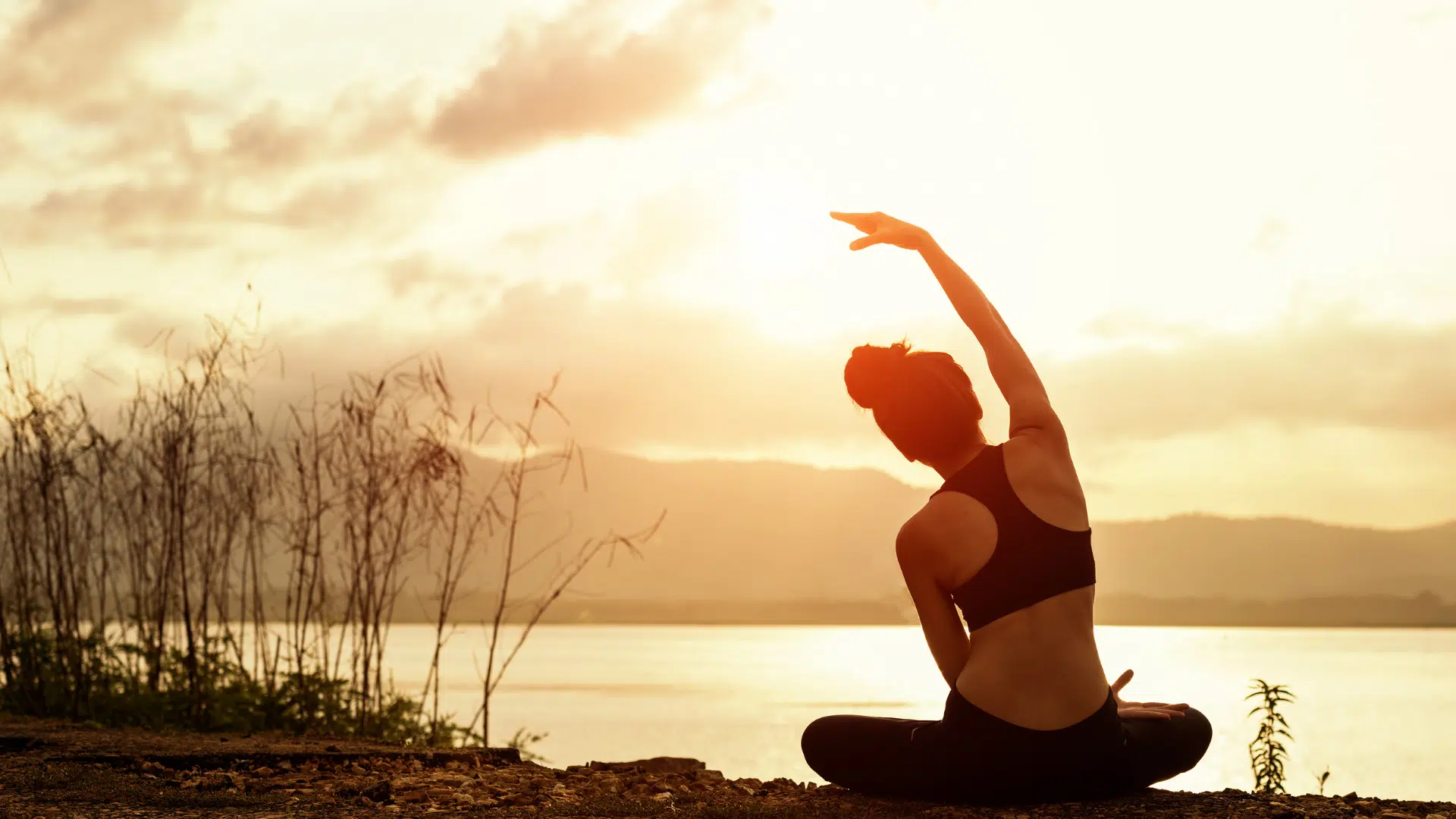 wellness