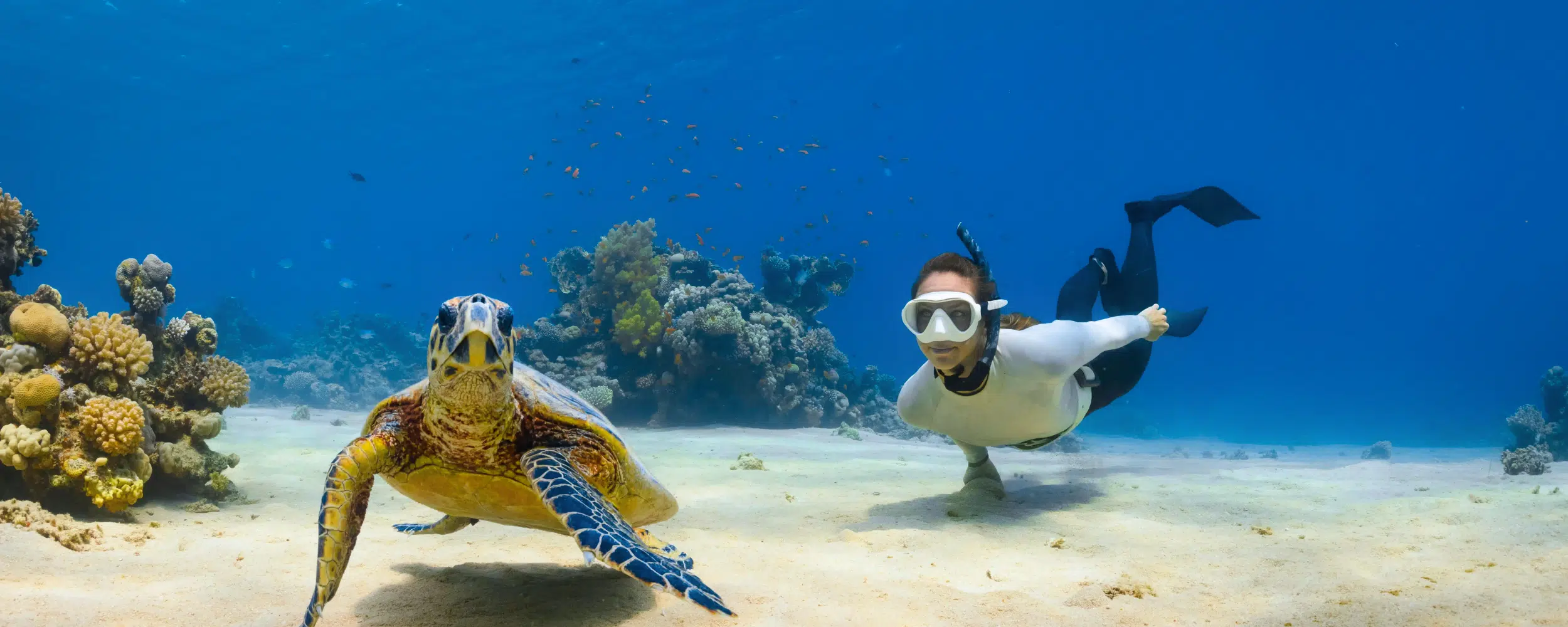 French Polynesia Adventure: Beaches, Lagoons & Coral Reefs