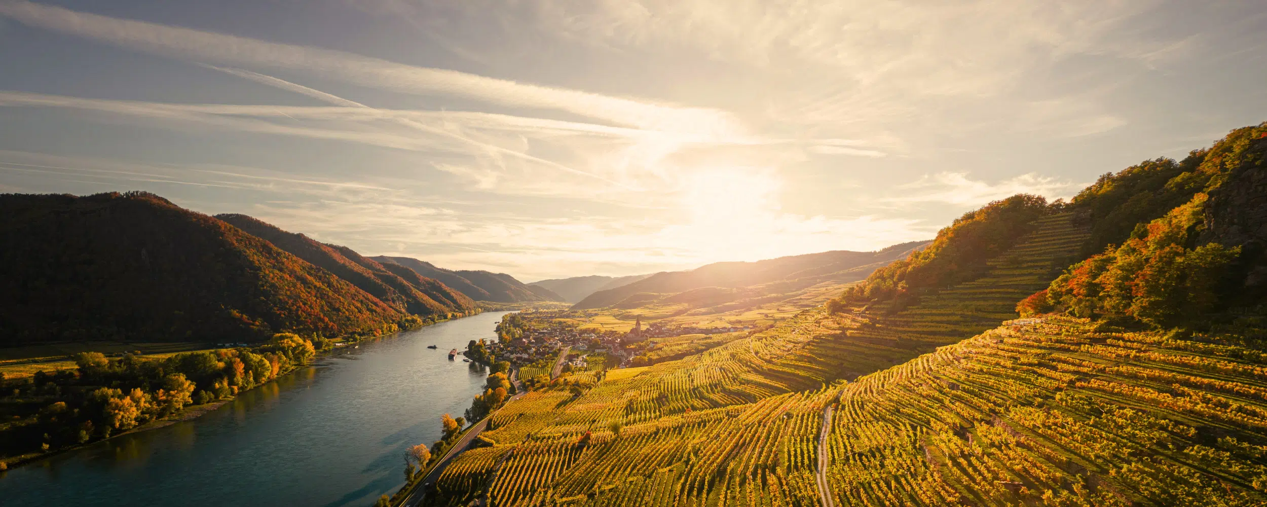 Luxury Wine Tour of France: Champagne to Provence