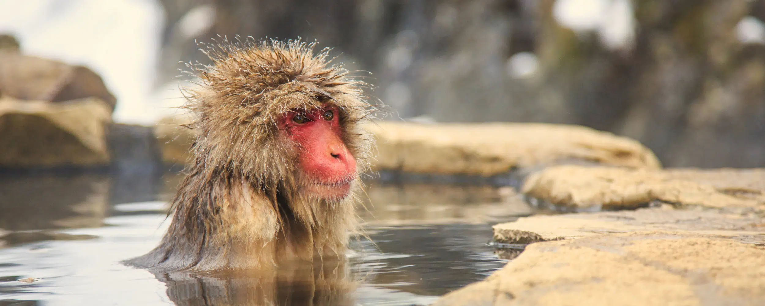 Winter in Japan: Mount Fuji, Nagano & Kyoto Luxury Tour