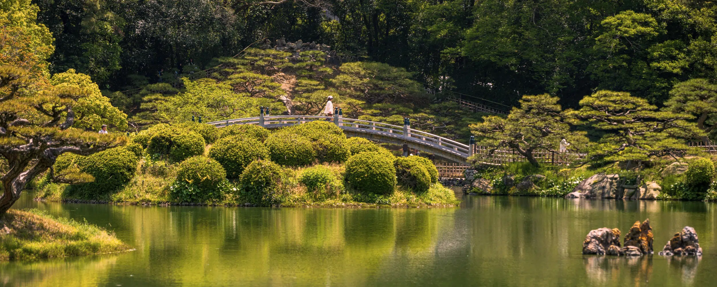 Hidden Japan: Shikoku Hot Springs & Naoshima Art Itinerary