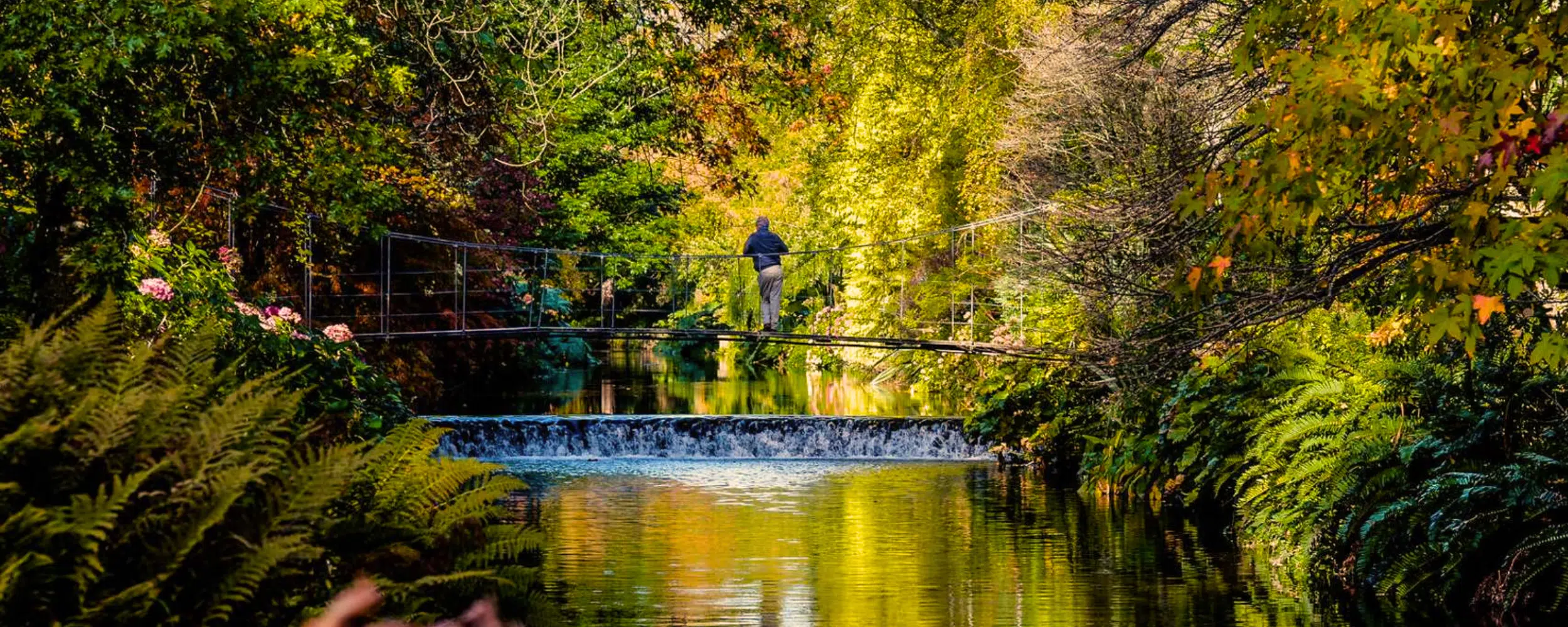 Dublin to Belfast Cultural Tour: Ireland’s Art, Poetry & Music