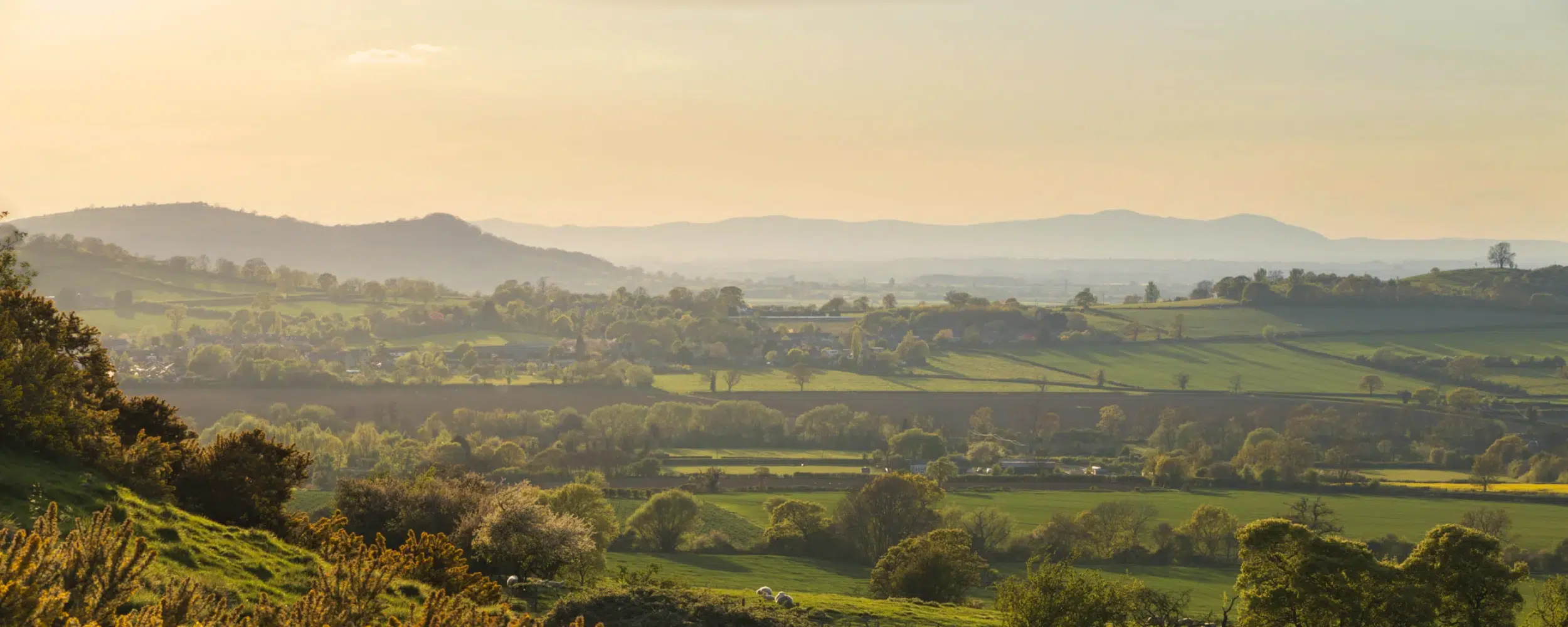 England Tour: London, Bath & the Cotswolds