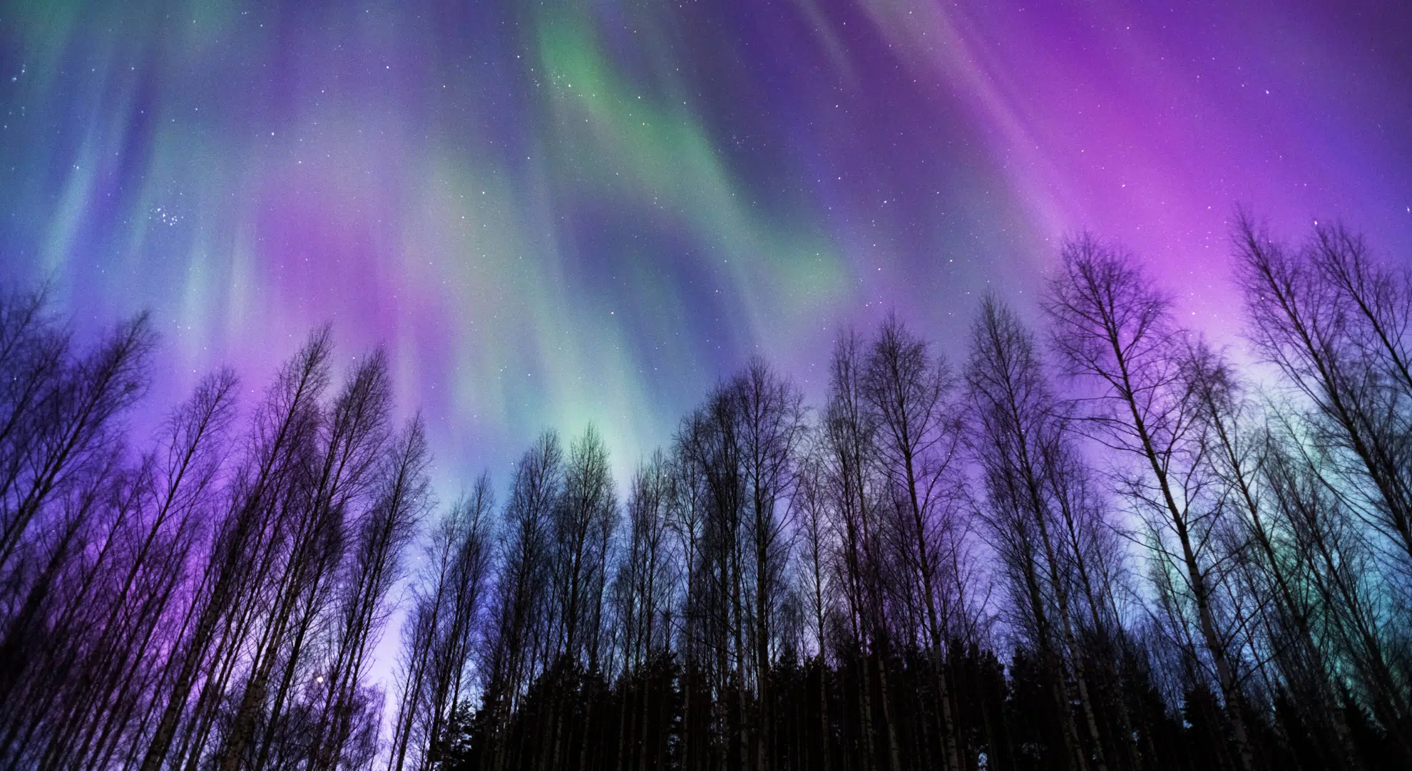 Aurora - Scandinavia