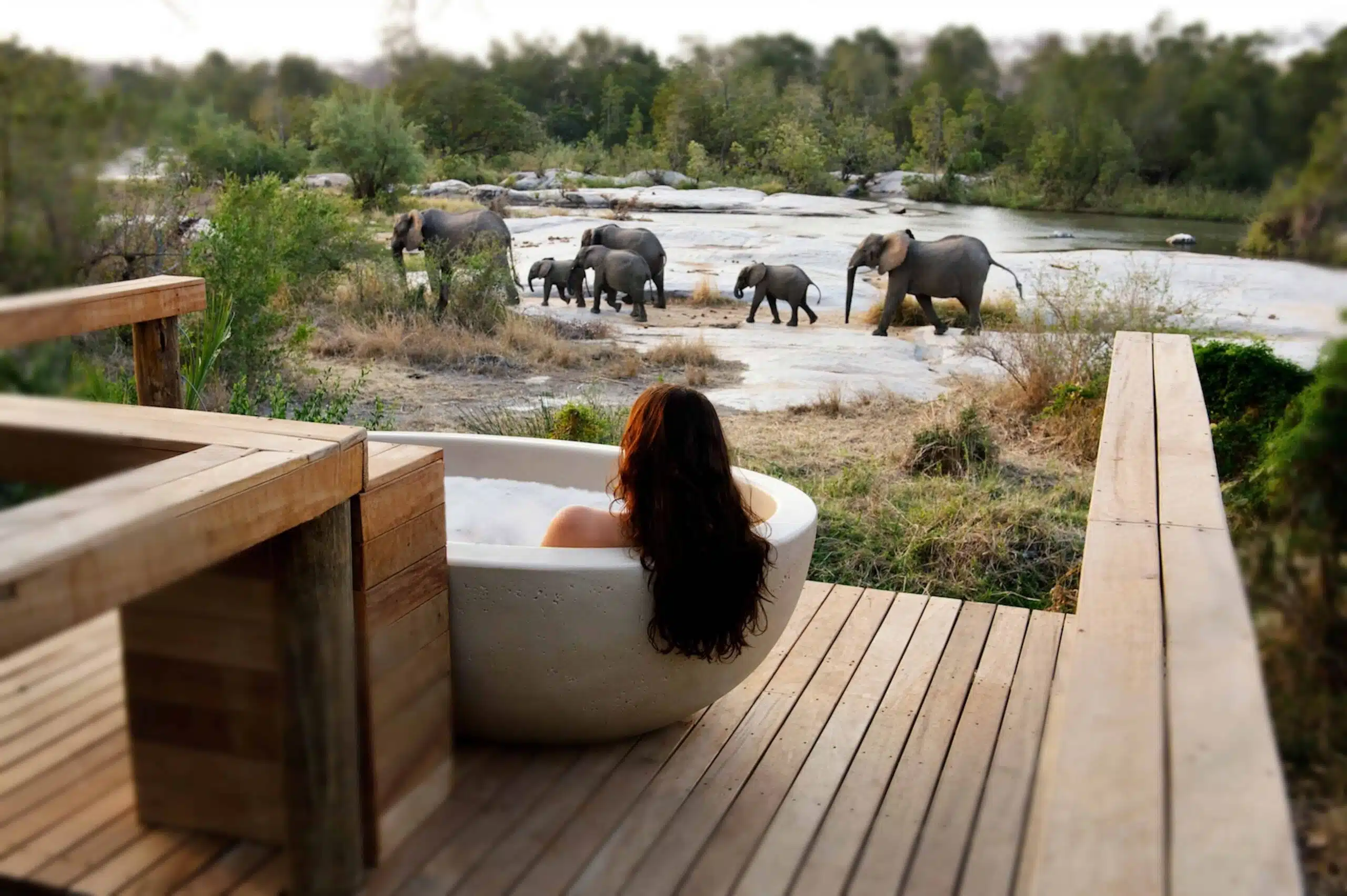 Sabi Sands Game Reserve