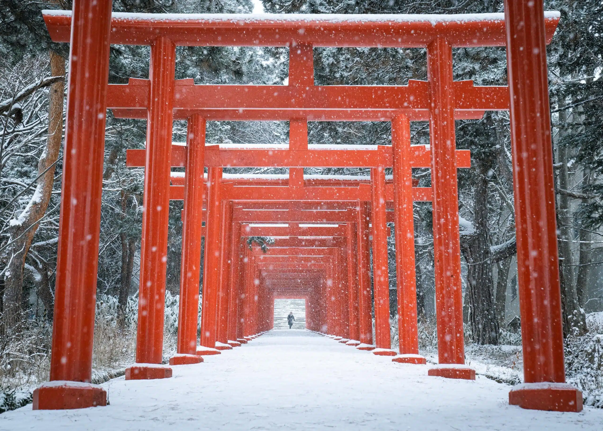 Temples, Torii and Timeless Icons