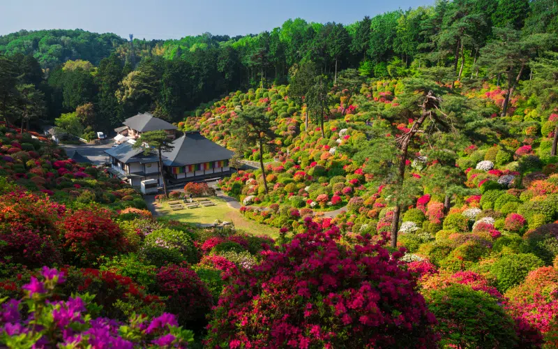 Kannonji & Matsuyama