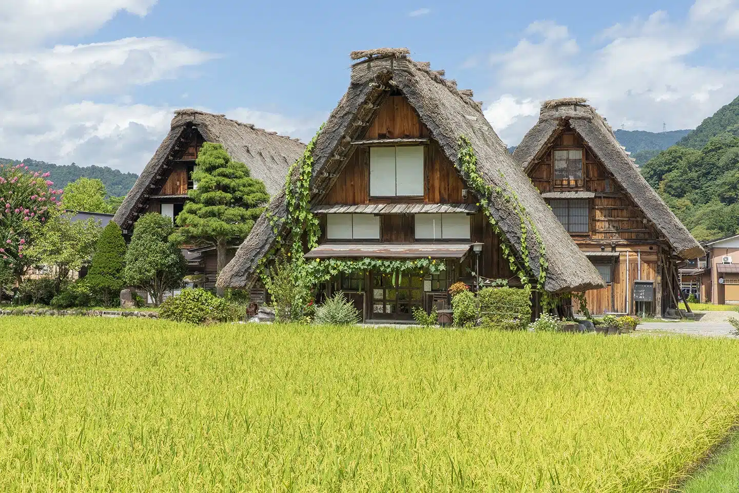 Shirakawa-go