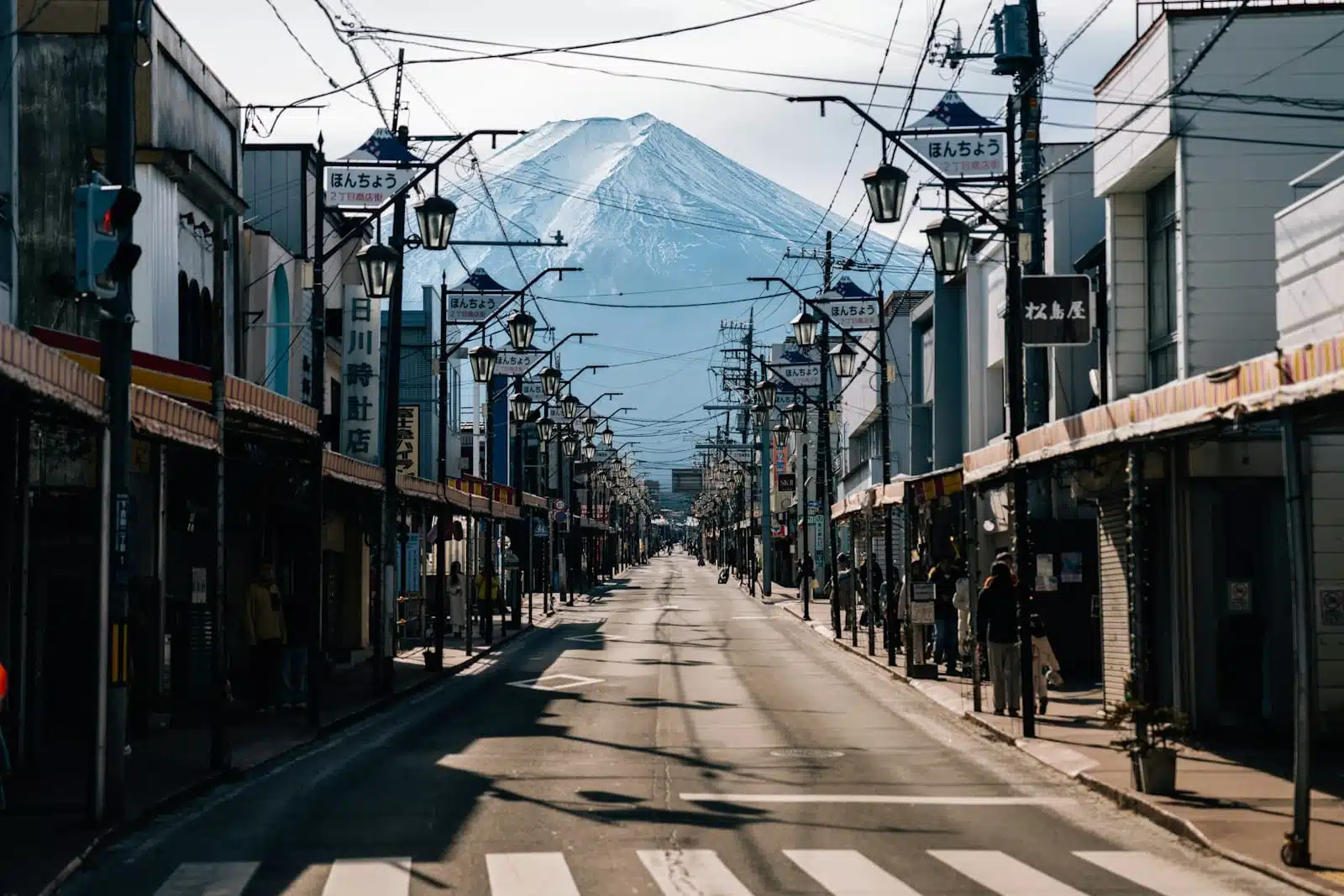 Wasabi Farm Visit and Journey to Kyoto