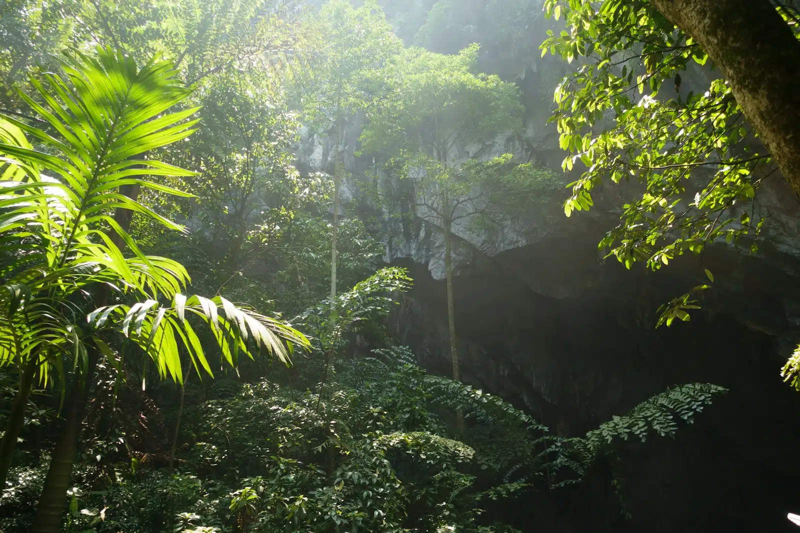 Tropical North Queensland