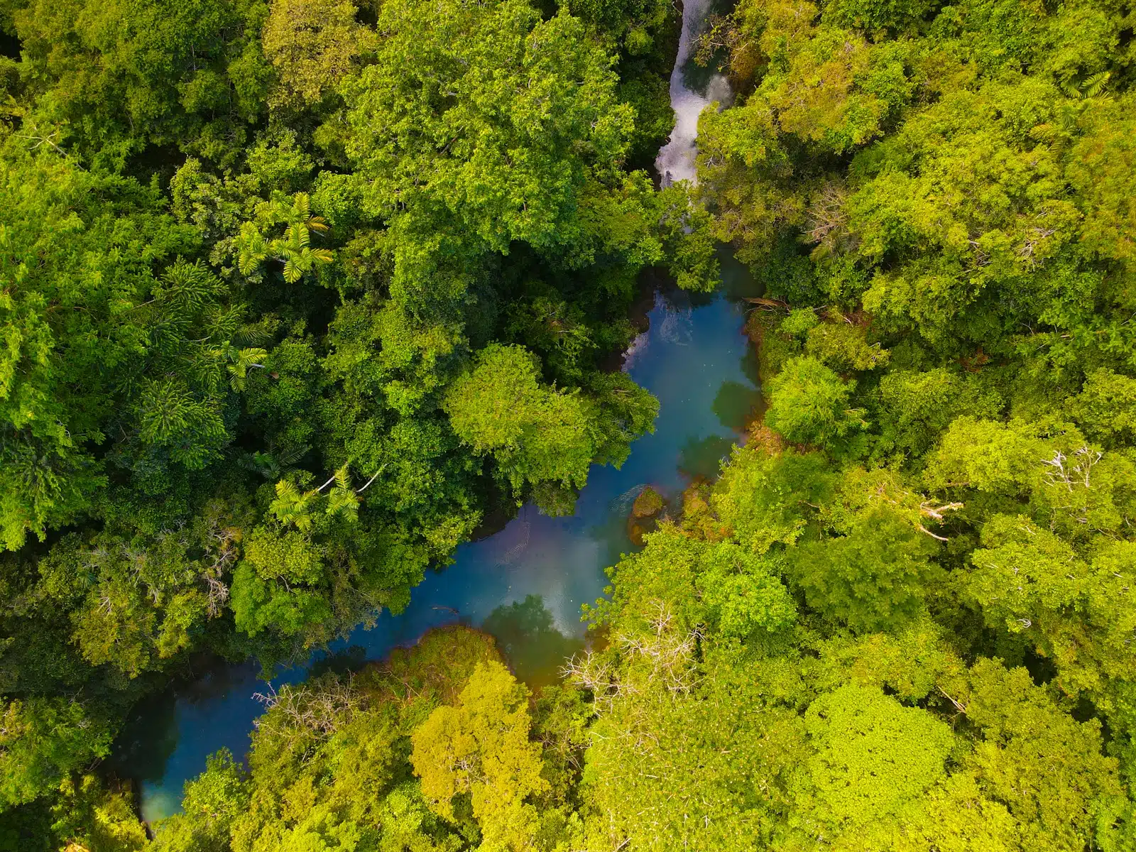 Wildlife and Waterways