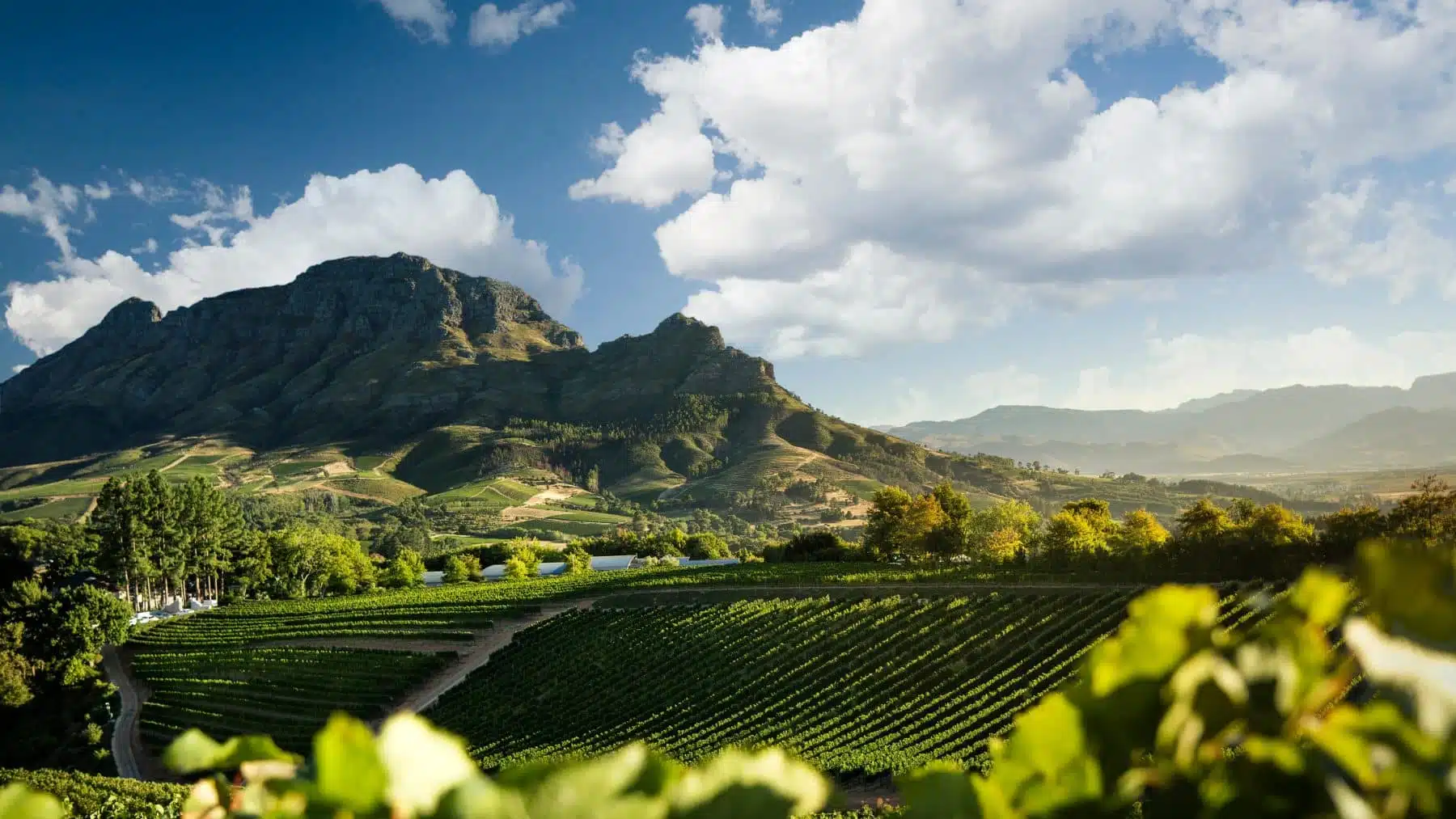 Delaire Graff Estate