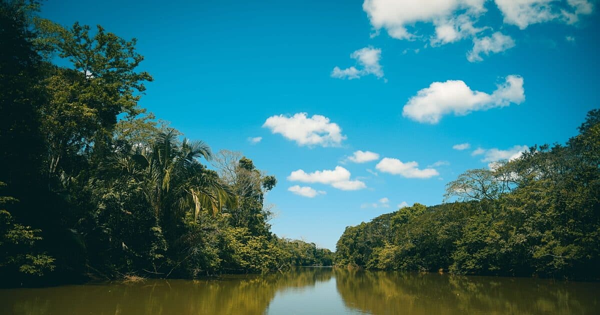 Day 3: Safari on the Caño Negro Wetlands