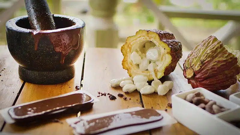 Island Culture & Chocolate Heritage