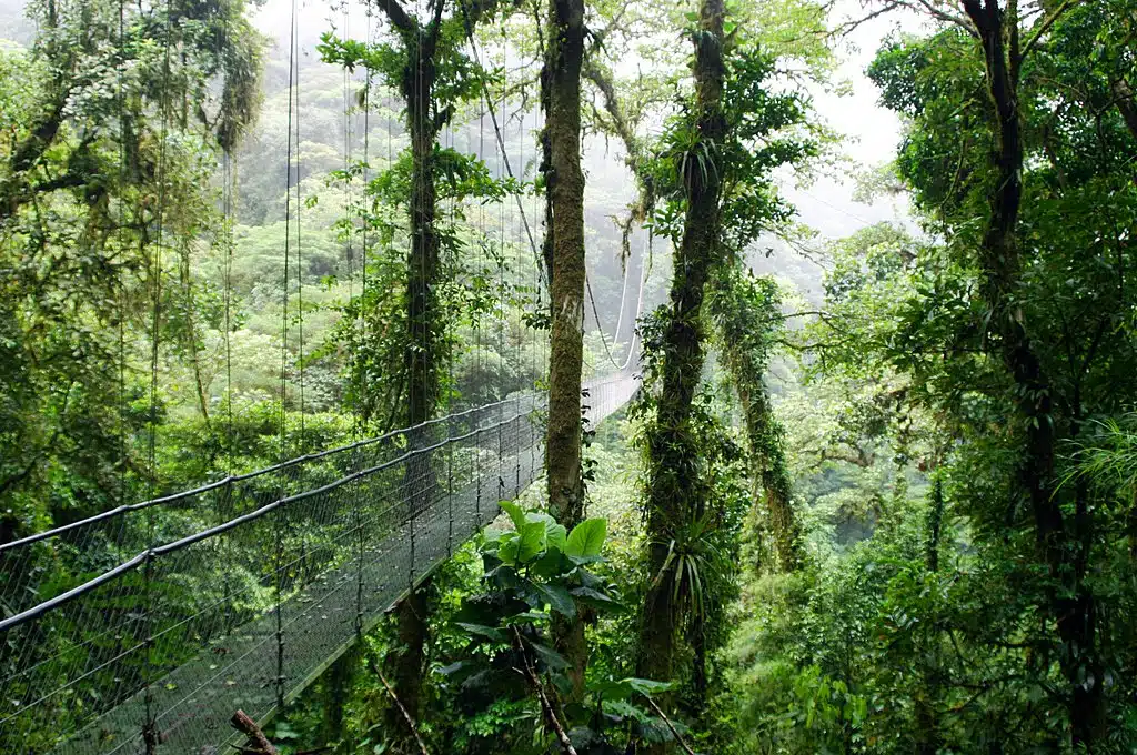 A Luxury Guide to Arenal: Hot Springs, Lodges and Volcano Views