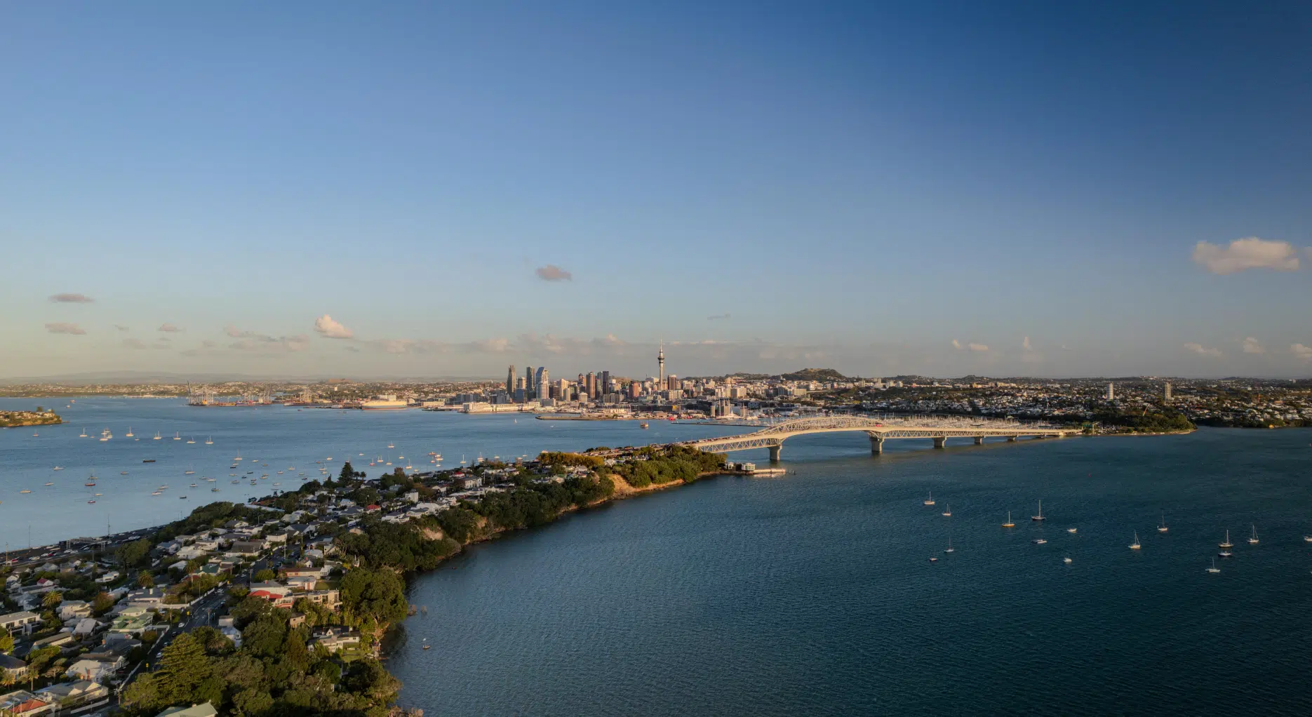 48 Hours in Auckland