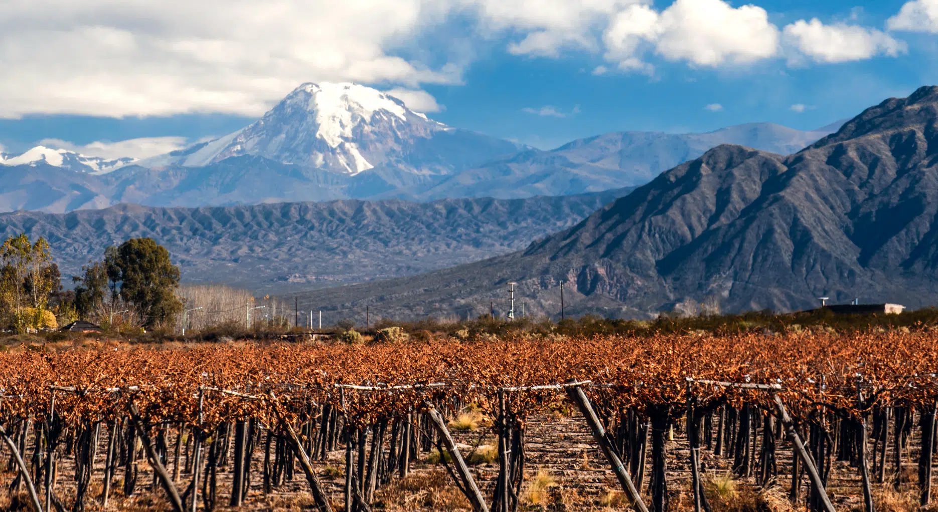 Wine Purchasing and Shipping