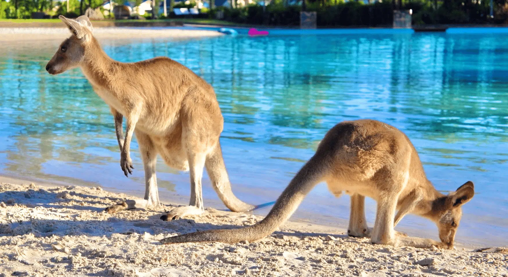 Southern Australia Journey with Kangaroo Island Heli-Safari