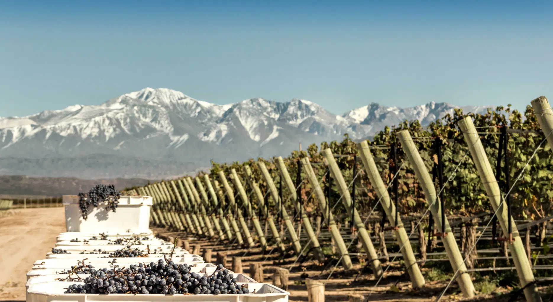Mendoza