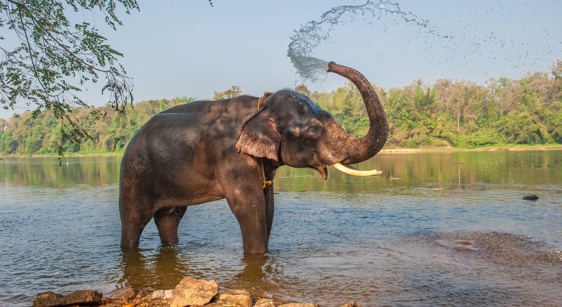 Kerlala, India
