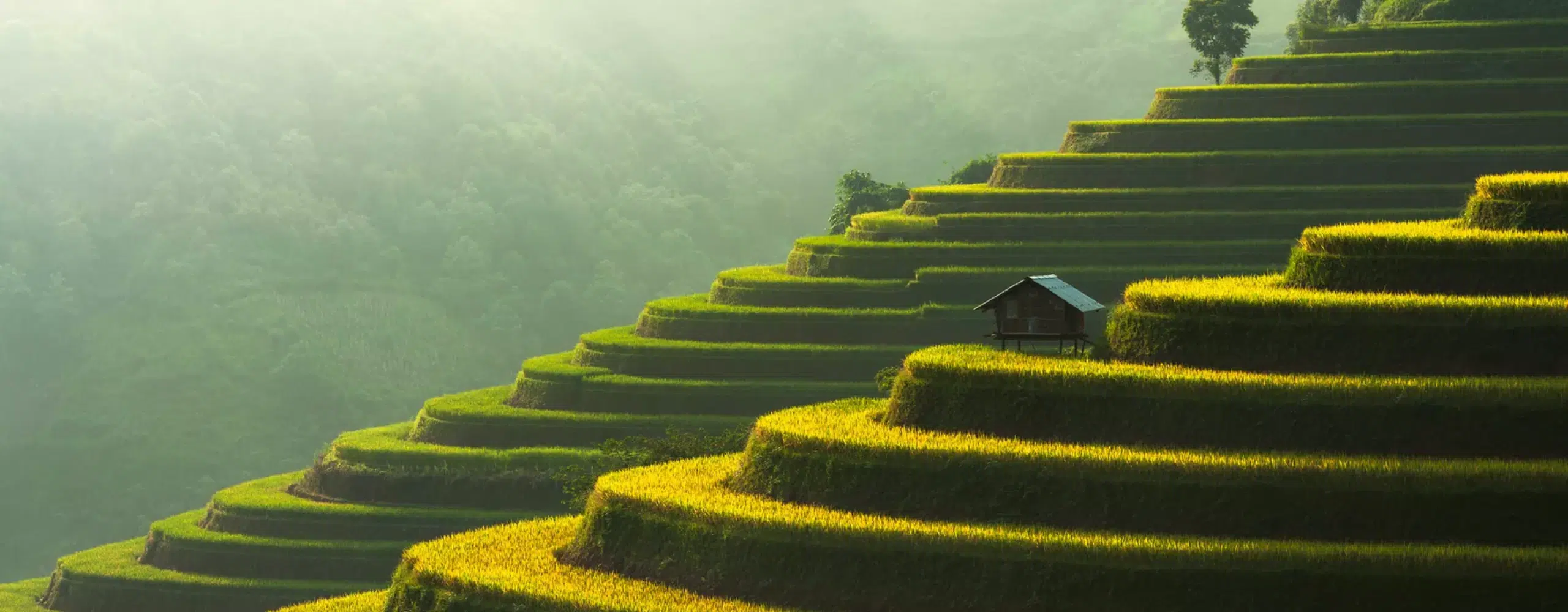 Vietnam and Cambodia Highlights Journey