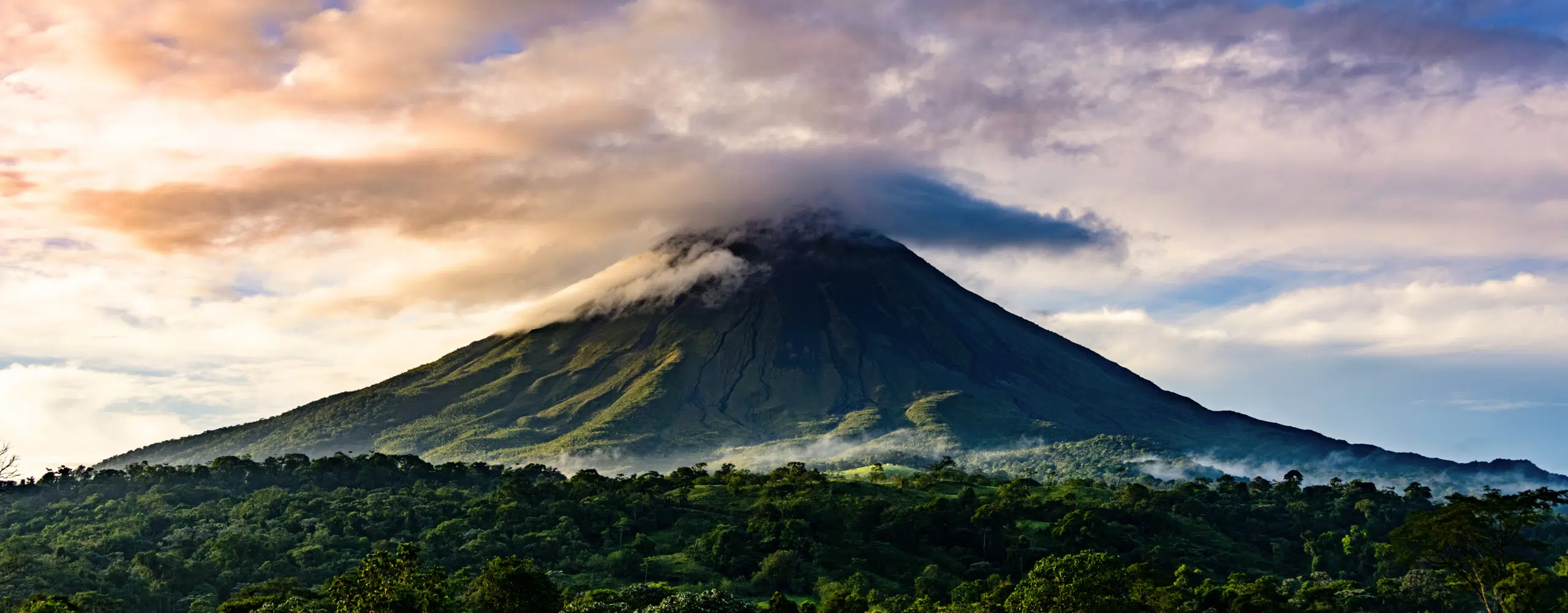 Costa Rica Highlights Tour: Rainforest to Coast