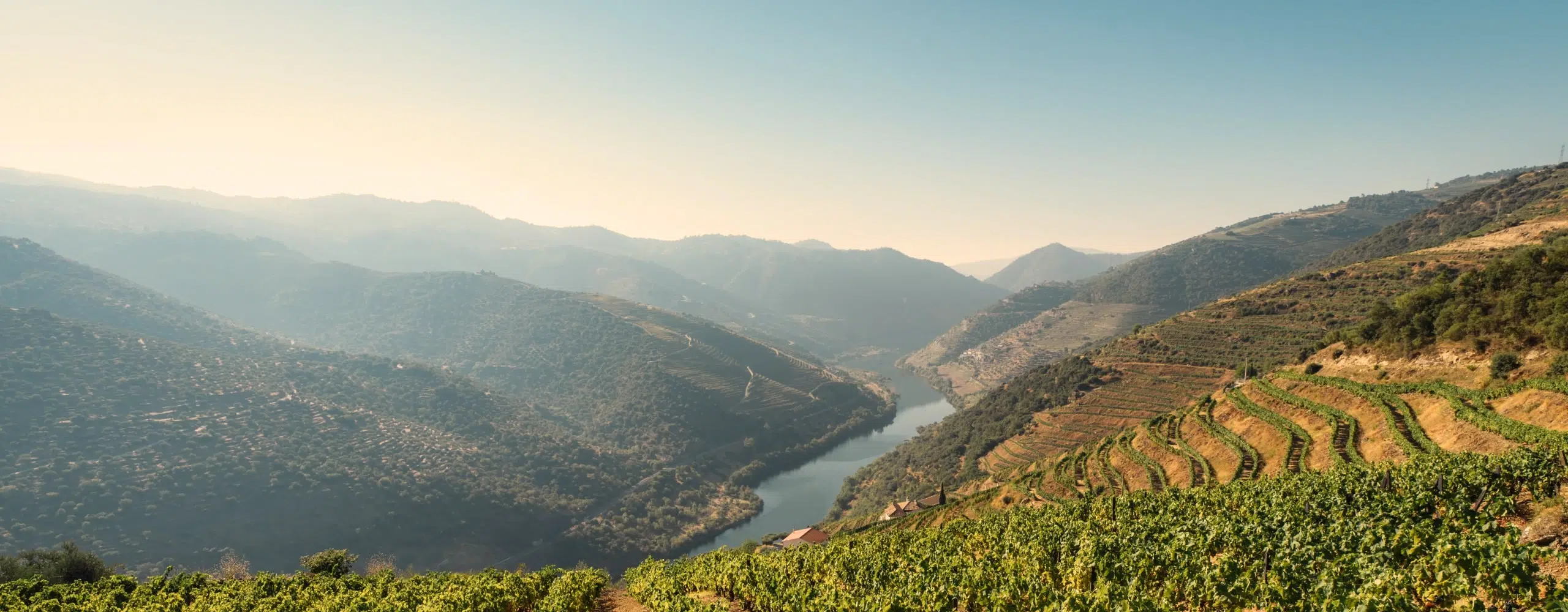 Portugal Culinary Journey: Lisbon, Porto & The Douro Valley