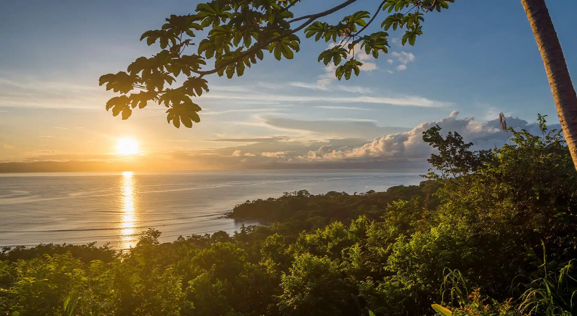 The Osa Peninsula