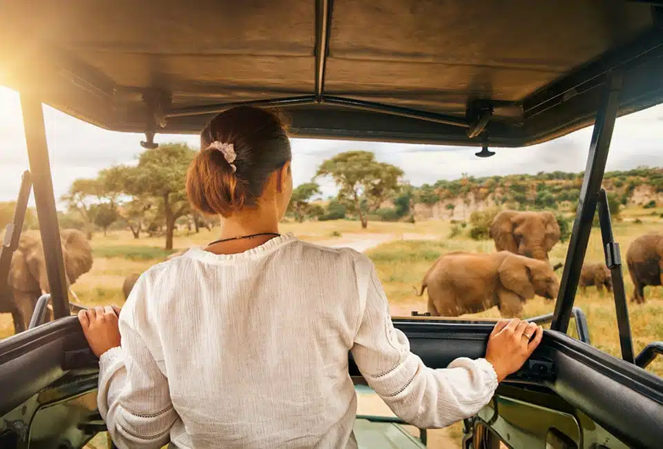 Why Sri Lanka: Luxury Wildlife and Culture Journey