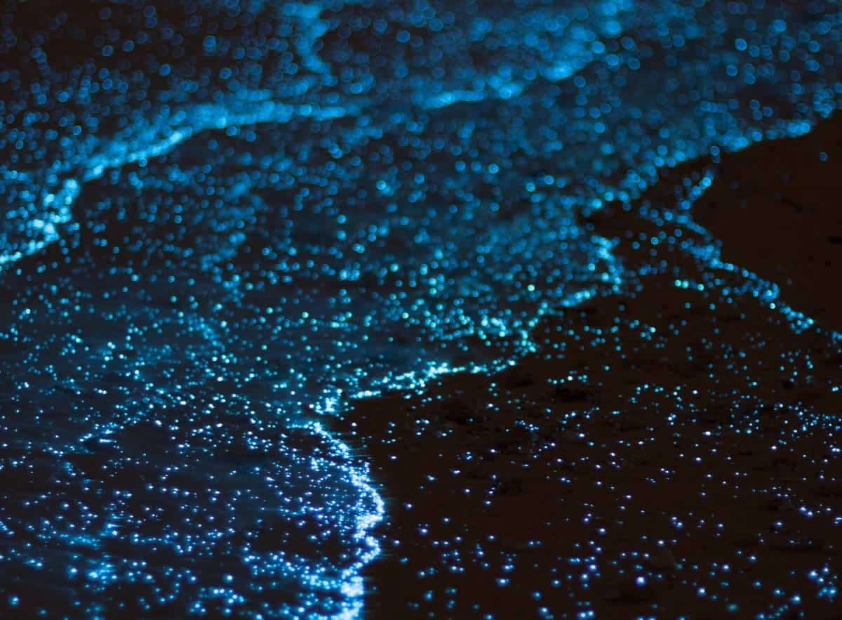 Days 4-5: Vieques