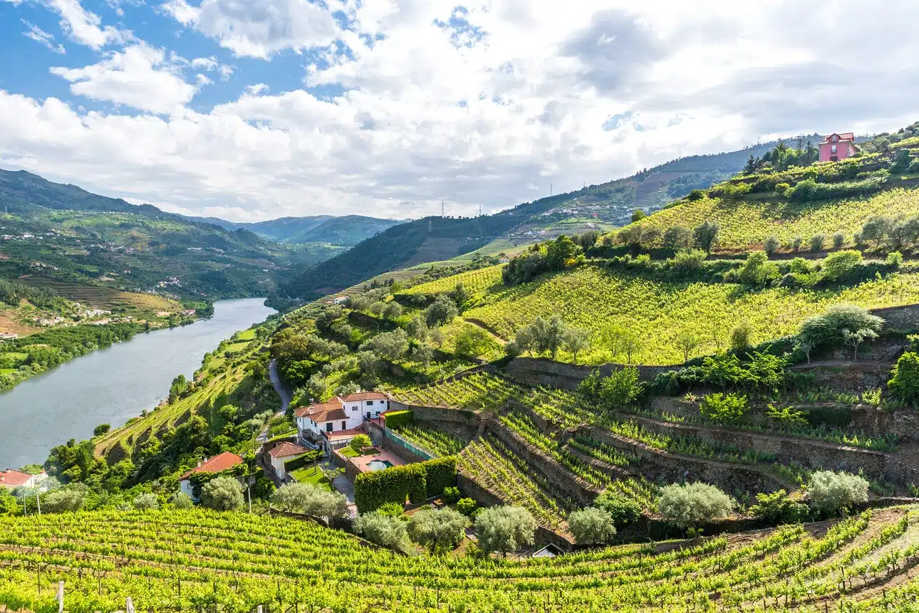The Vinho Verde Experience