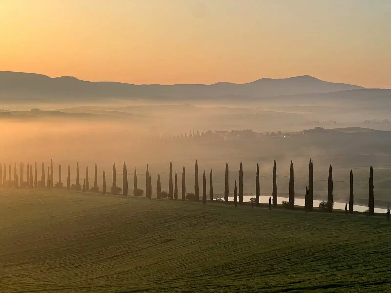 Val d’Orcia & Pecorino Tastings