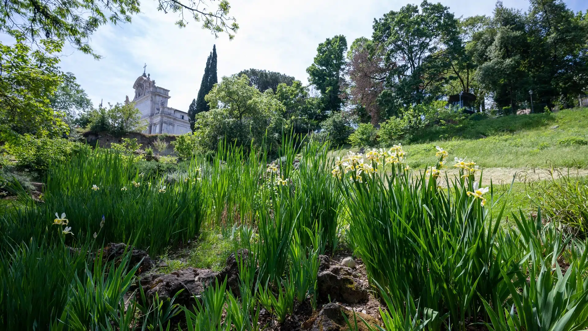 botanical garden rome