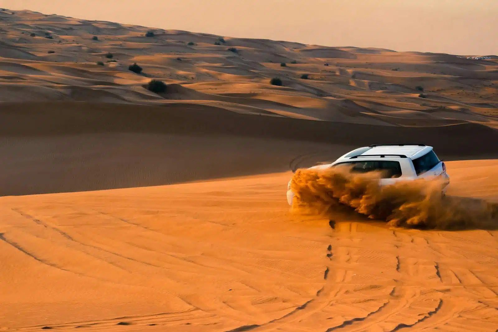 Desert Adventure & Cultural Discovery