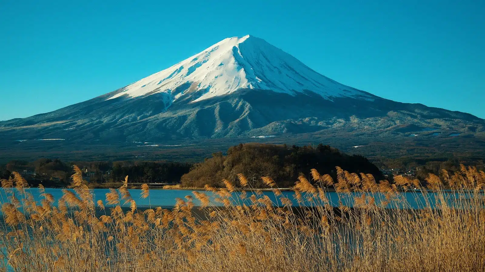 Hakone and Mount Fuji