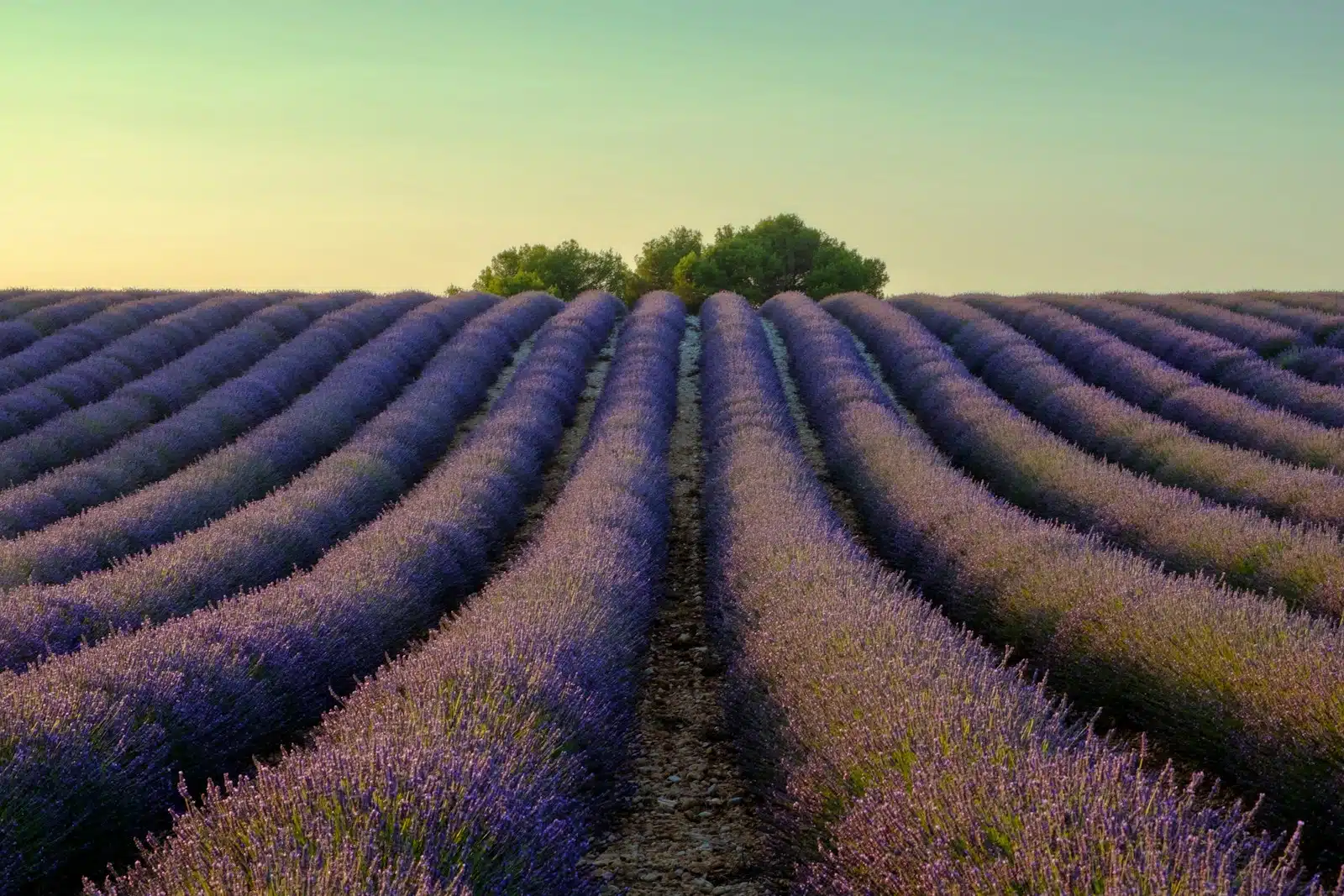 Provence