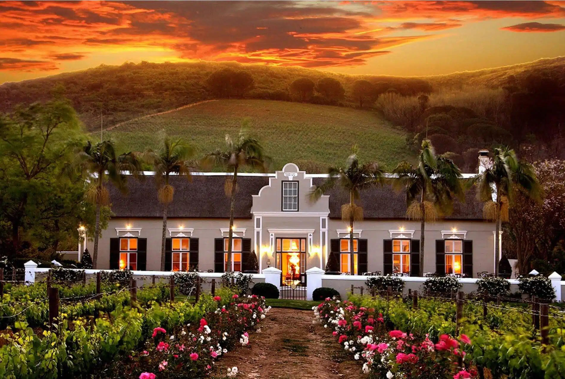 Best Luxury Hotels in the Cape Winelands