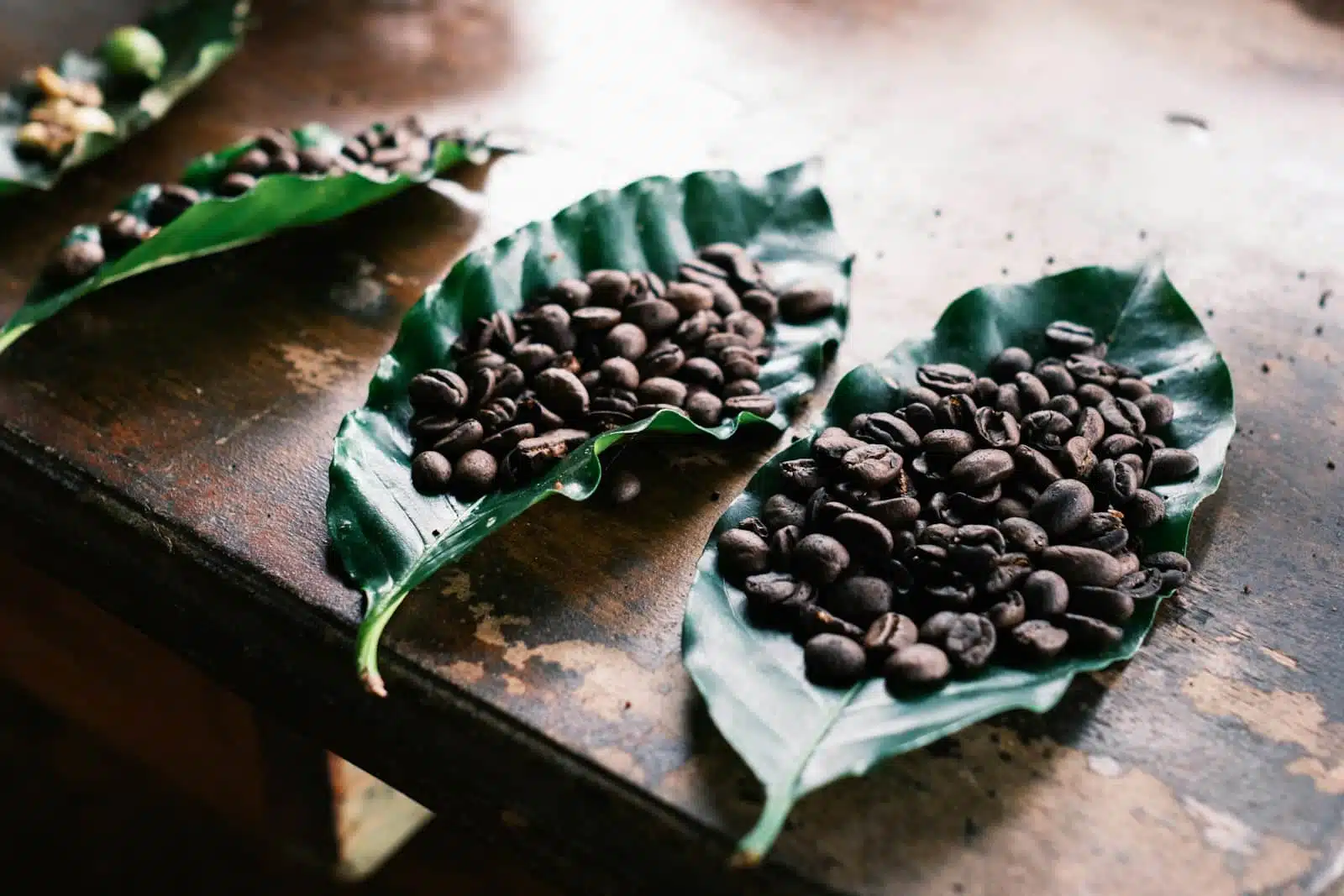 Organic Coffee & Local Culture