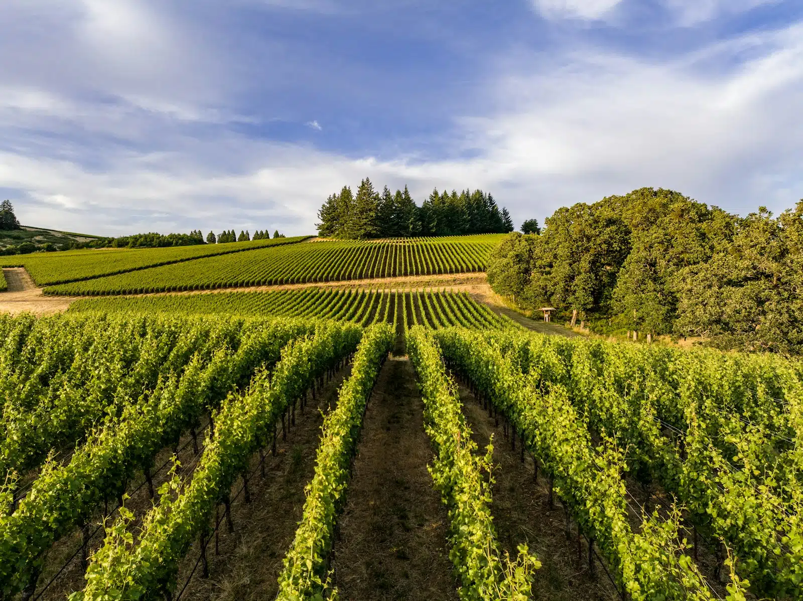 Marlborough