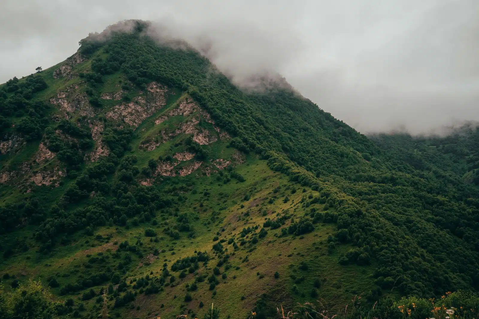 Adventure in the Oboke Gorge
