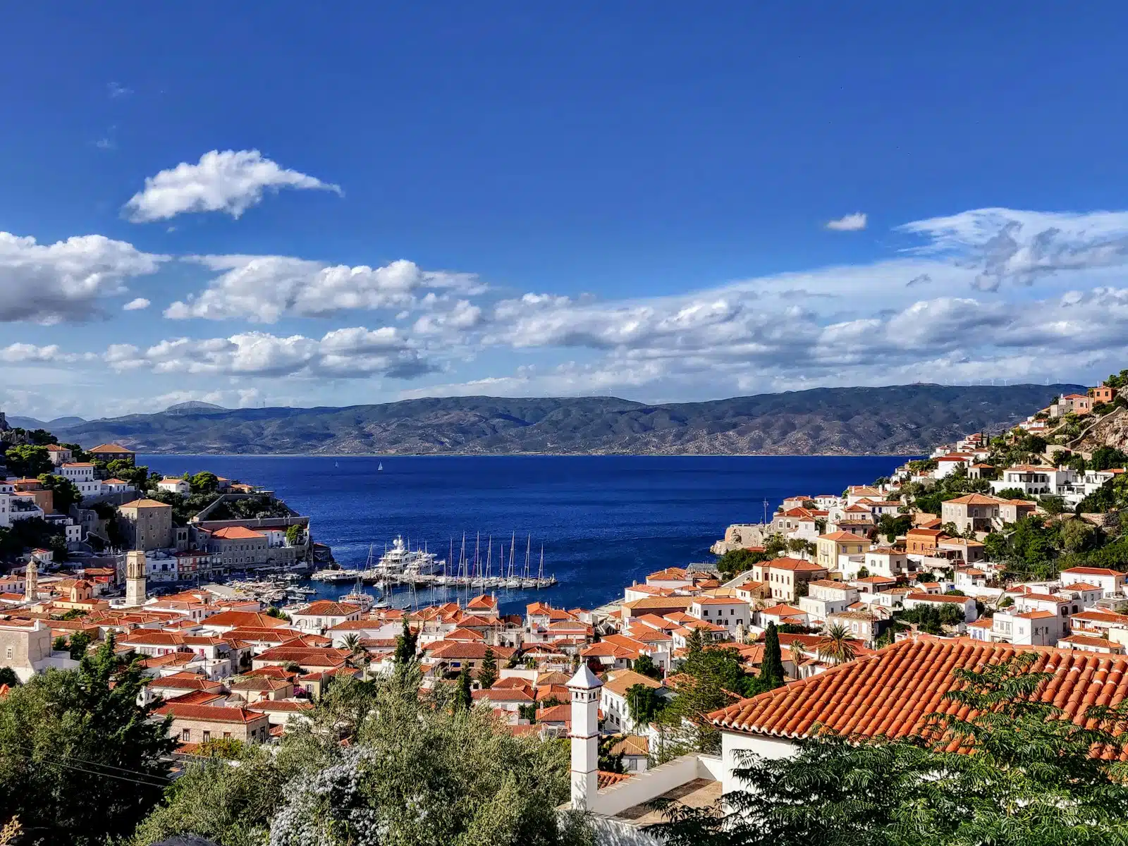 Hydra