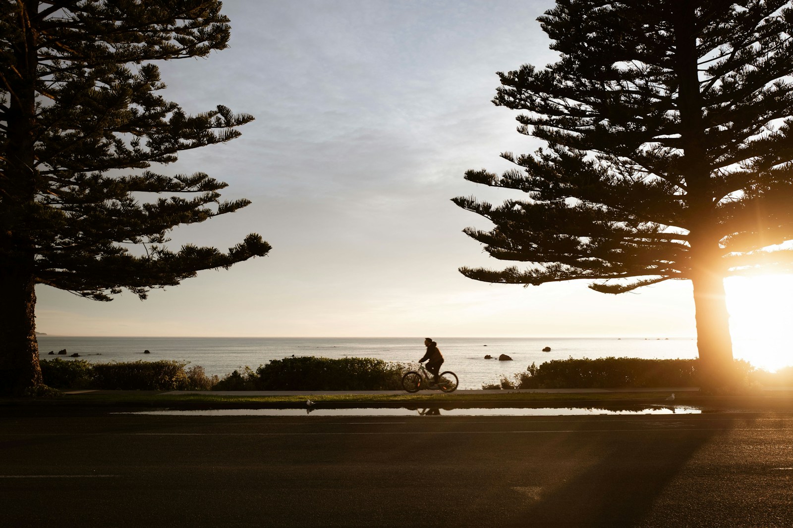 Days 16-18: Kaikōura