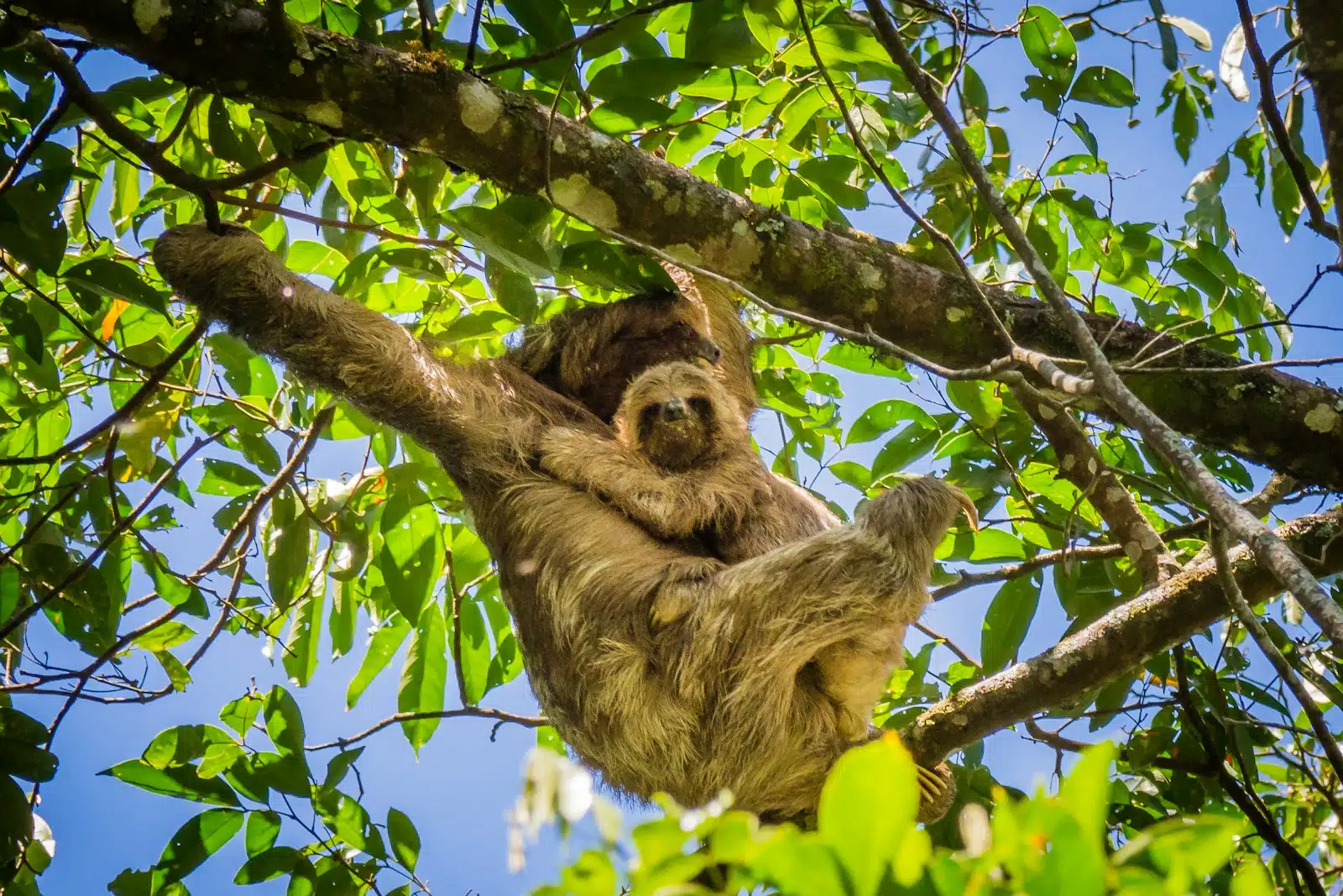 Costa Rica for Families