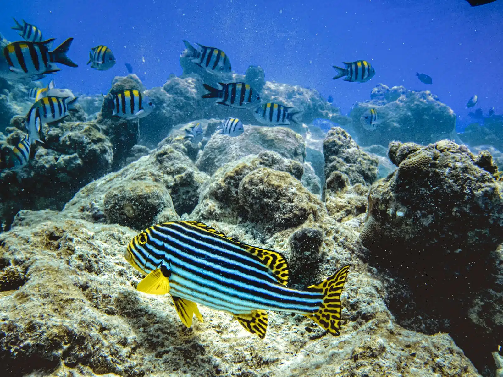 Bora Bora