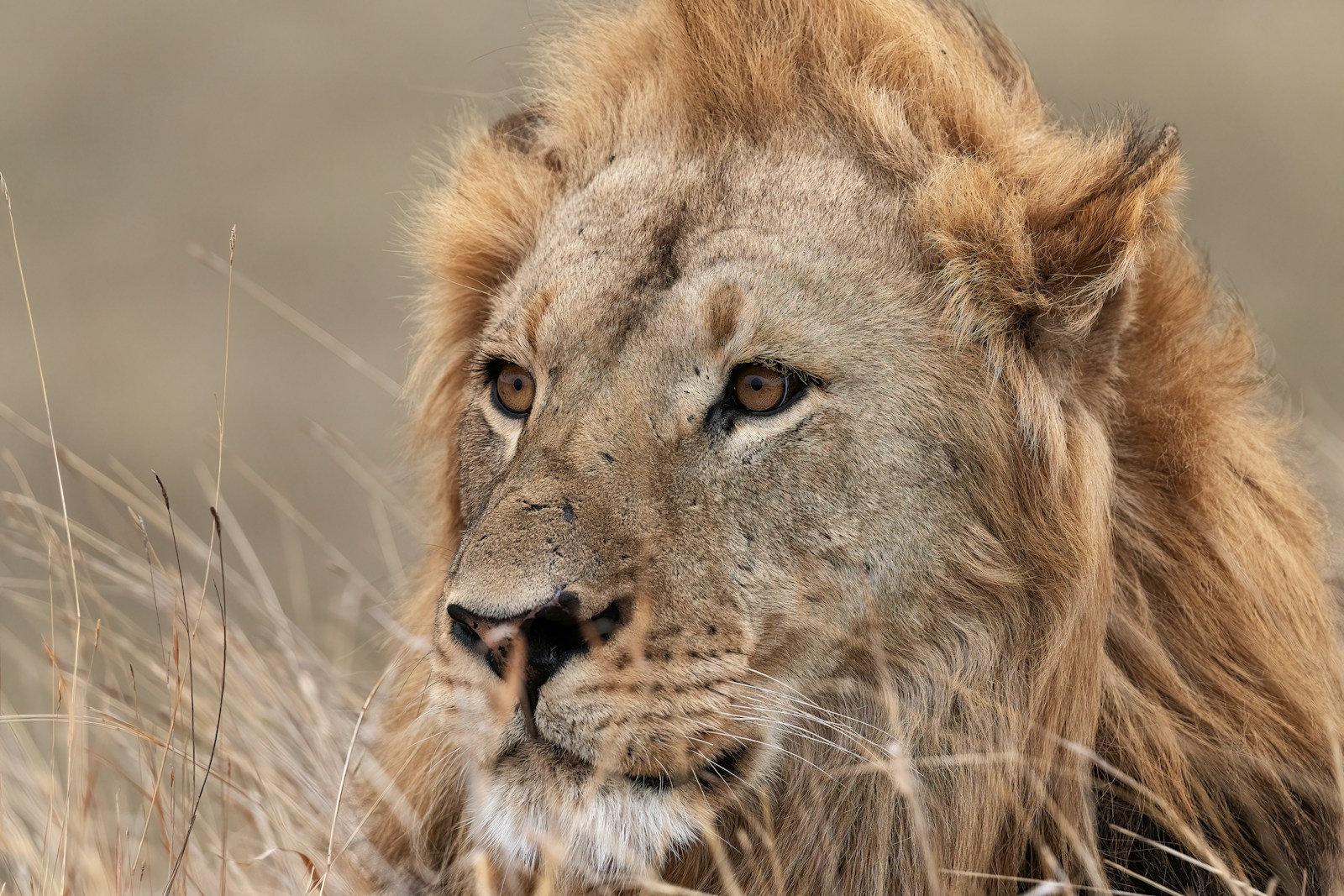 Day 4: Life on Safari