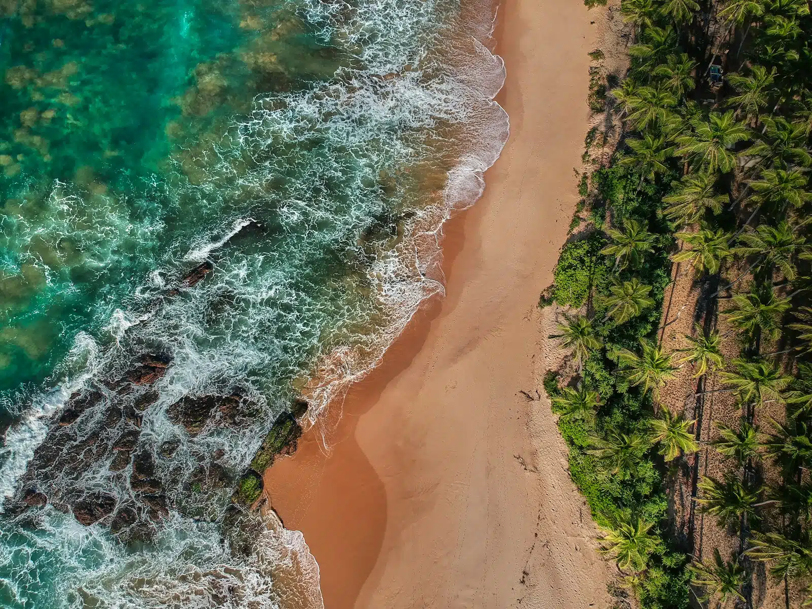 Why Family-Friendly Sri Lanka Adventure