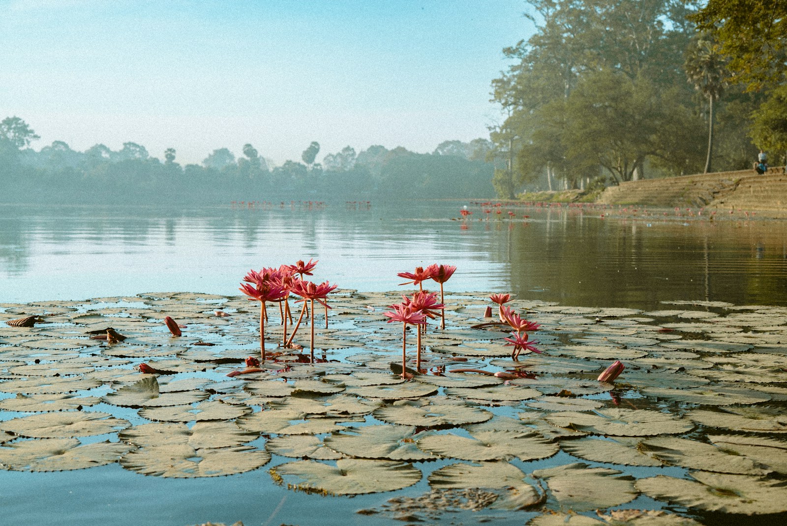 Day 12: Departure from Siem Reap