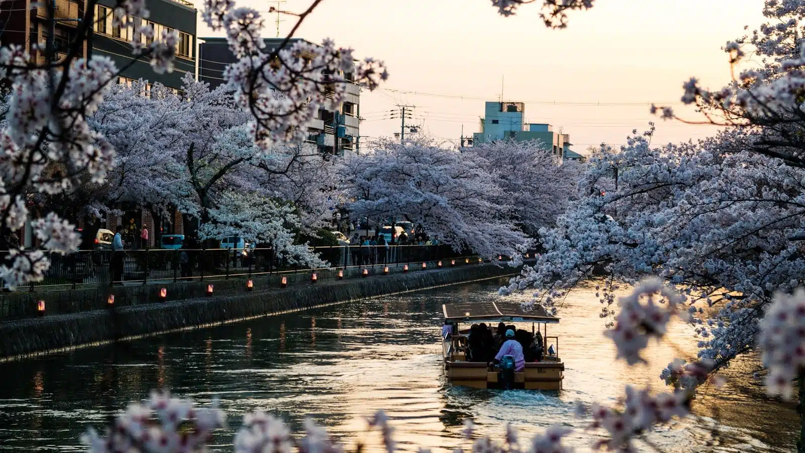 Journey to Kyoto