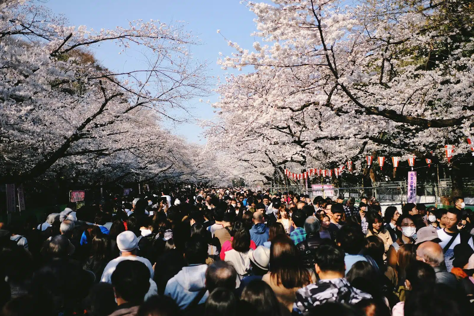 a large crowd of people walking down a street