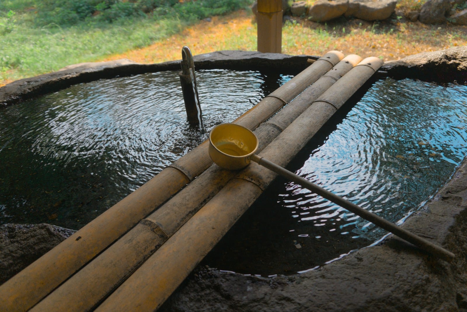 A group of bamboo poles sitting in a pool of water